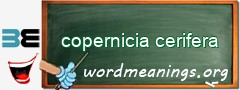 WordMeaning blackboard for copernicia cerifera